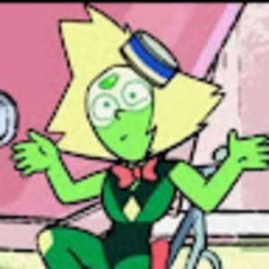 Meet your Posher, Aneesa